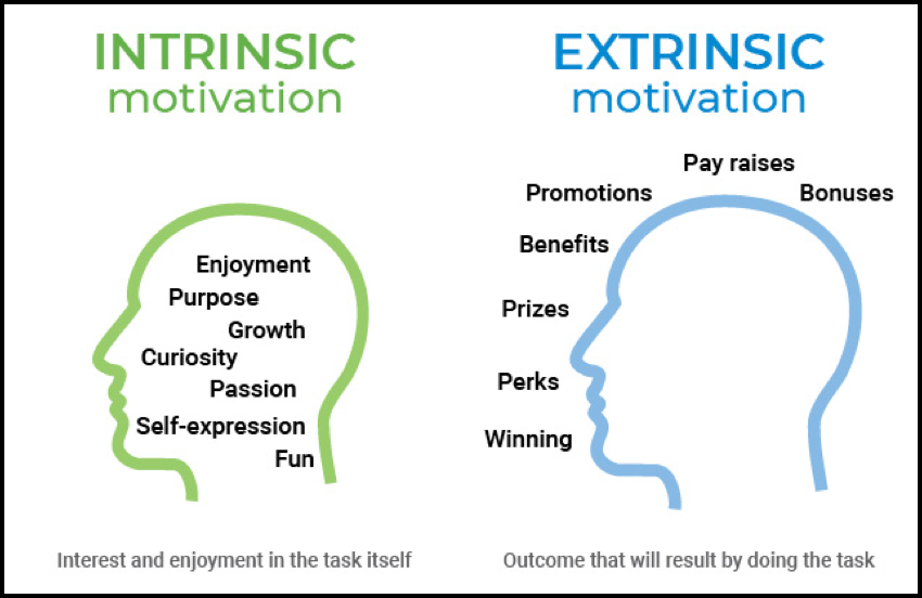 intrinsic and extrinsic words