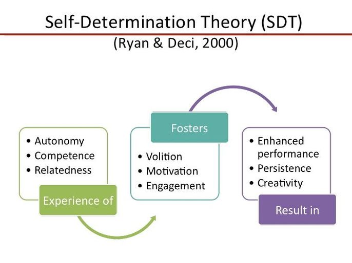 self determination theory diagram