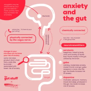 diagram of gut and brain